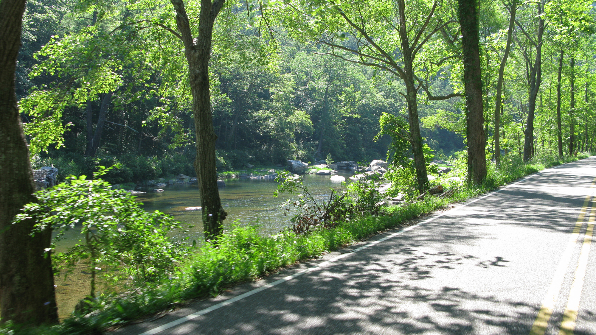 Brushy Hill Loop