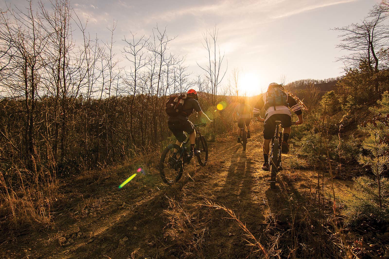Virginia Mountain Bike Festival