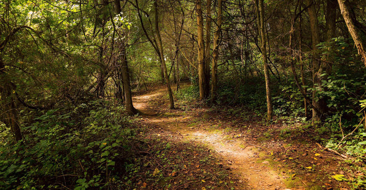 Montgomery Hall Park-Staunton