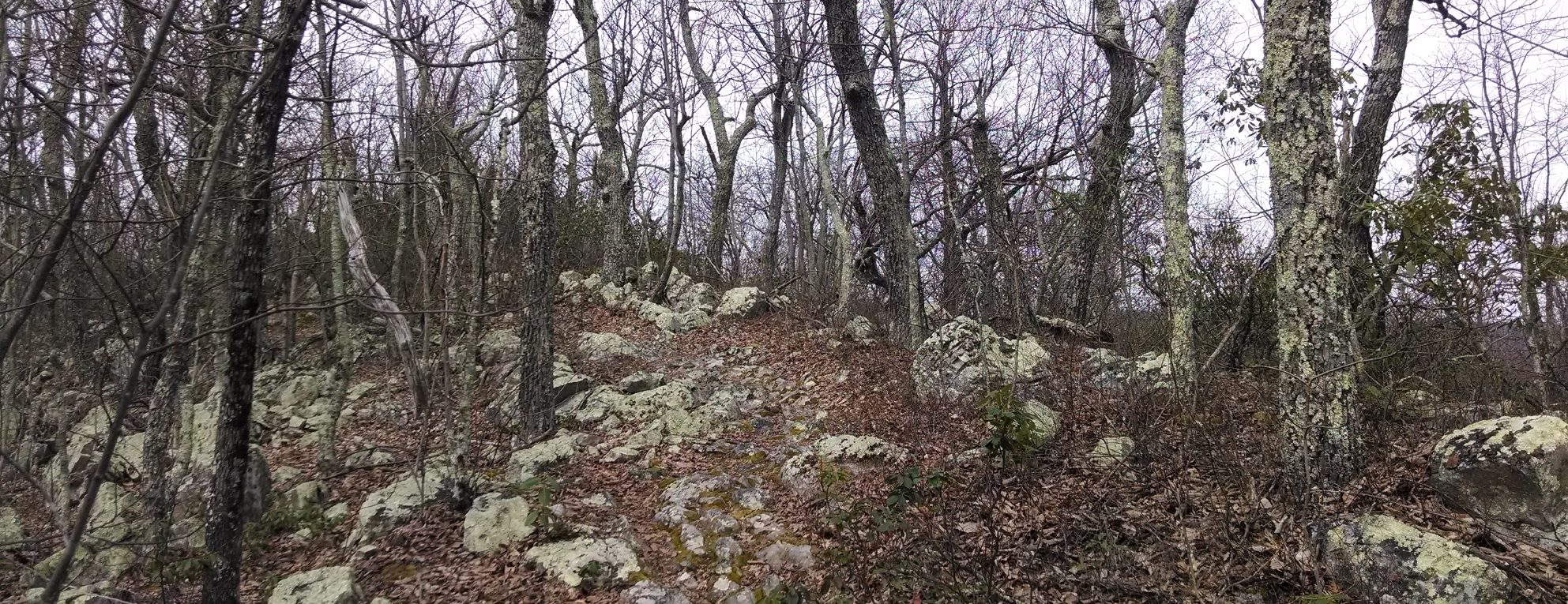 Sherando Lake Advanced Loop