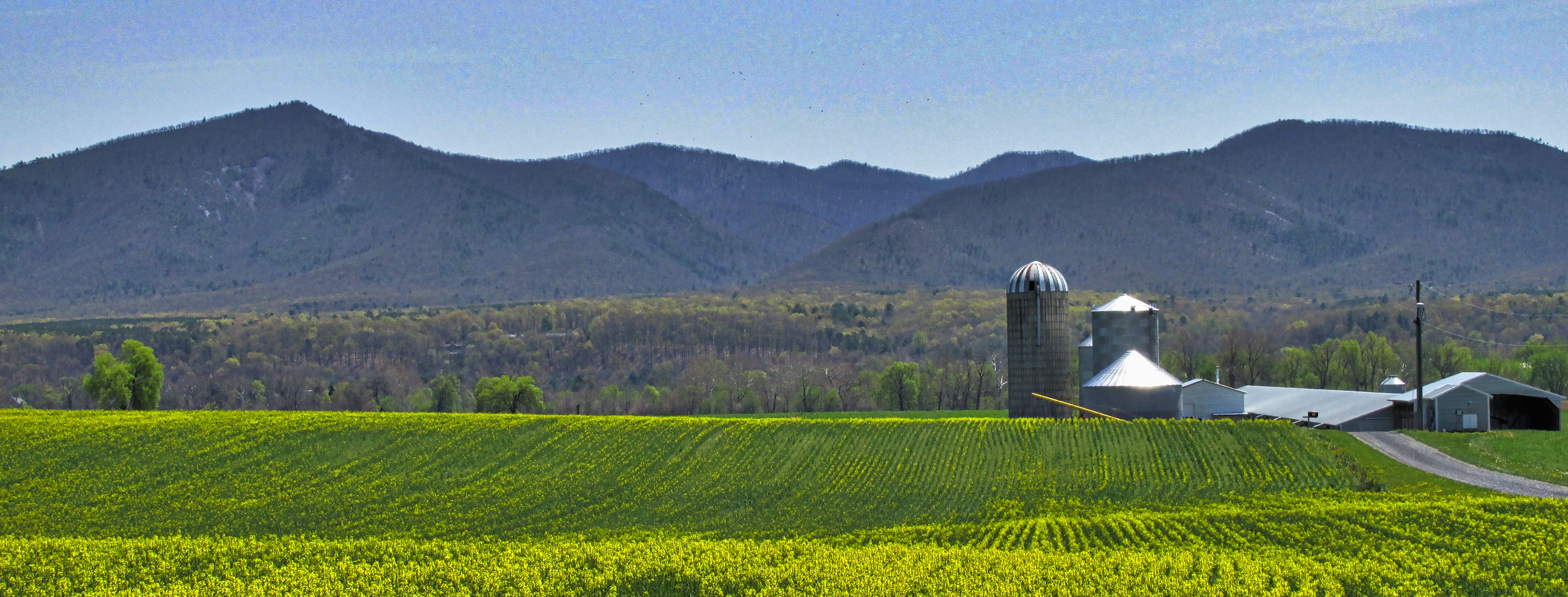 Waynesboro Dooms Day Loop