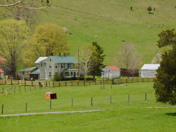Ginseng Mountain Lodging Blue Grass