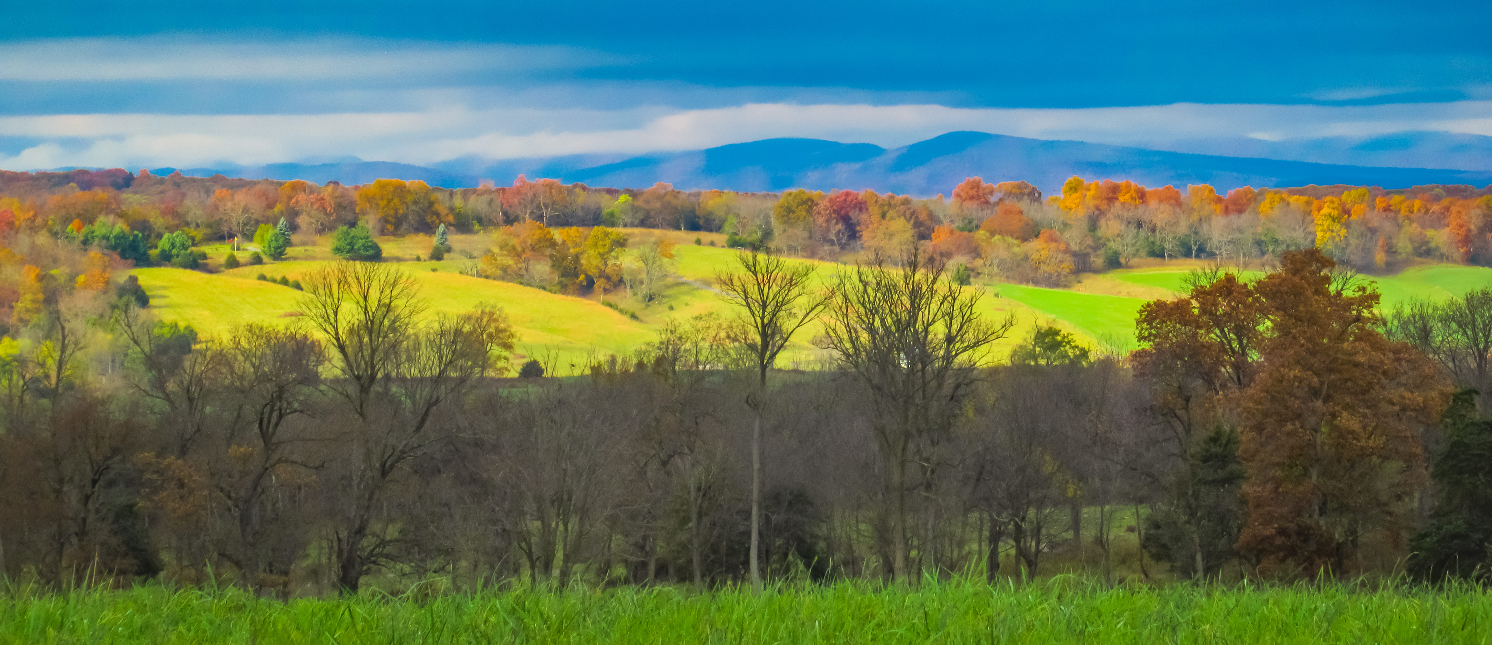 Springhill Ridge Road